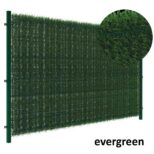 Evergreen-154x154
